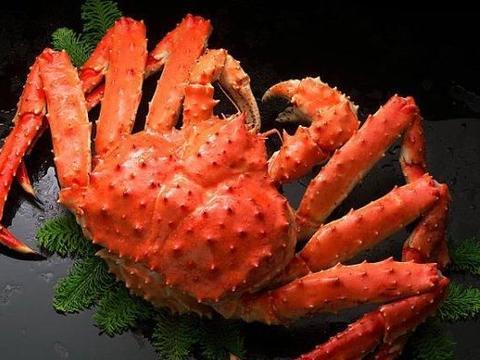 国产帝王蟹捕捞视频大全,海洋珍馐的捕捞全过程